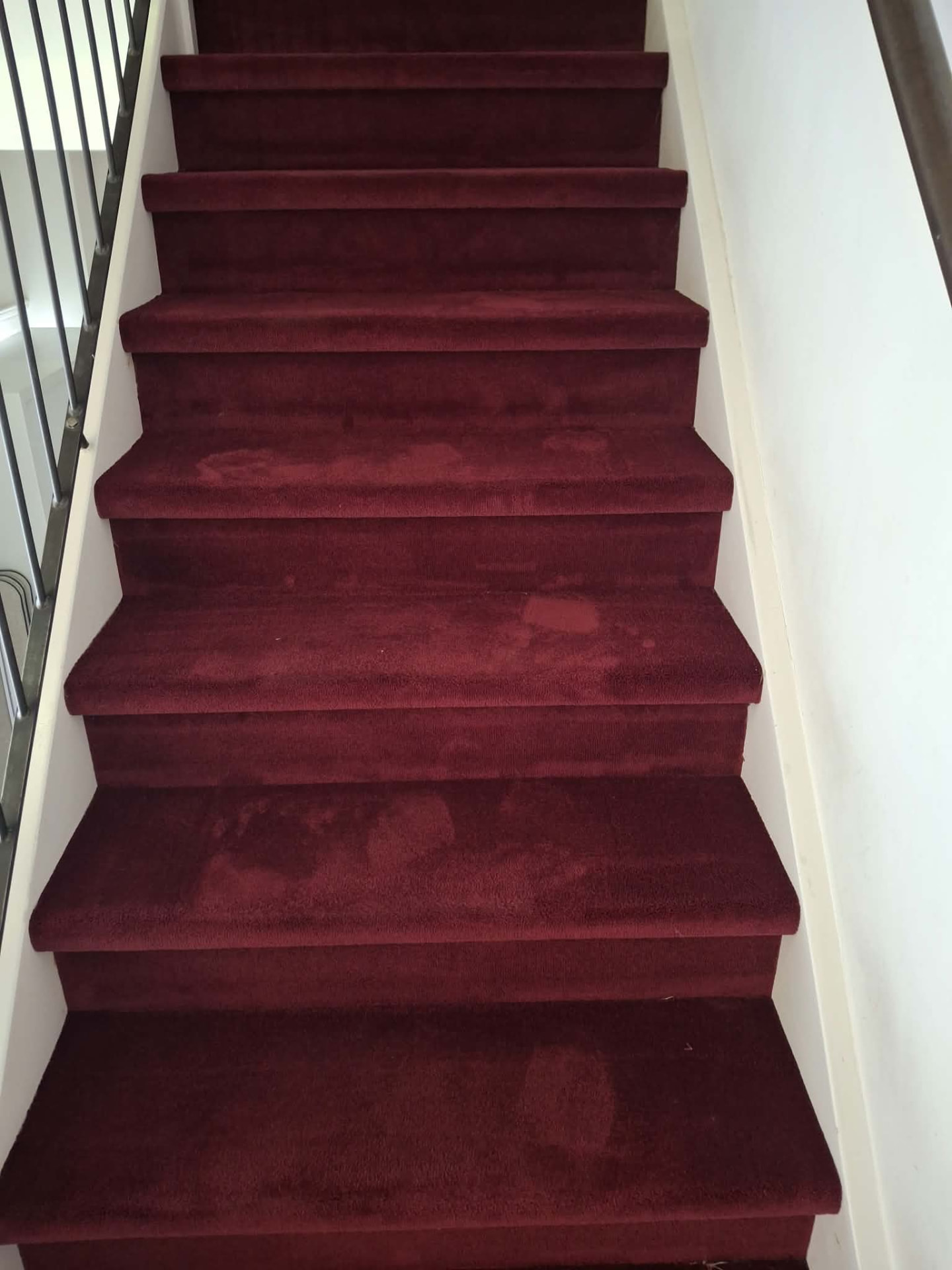 Deep Cleaning — Aqua Clean 11