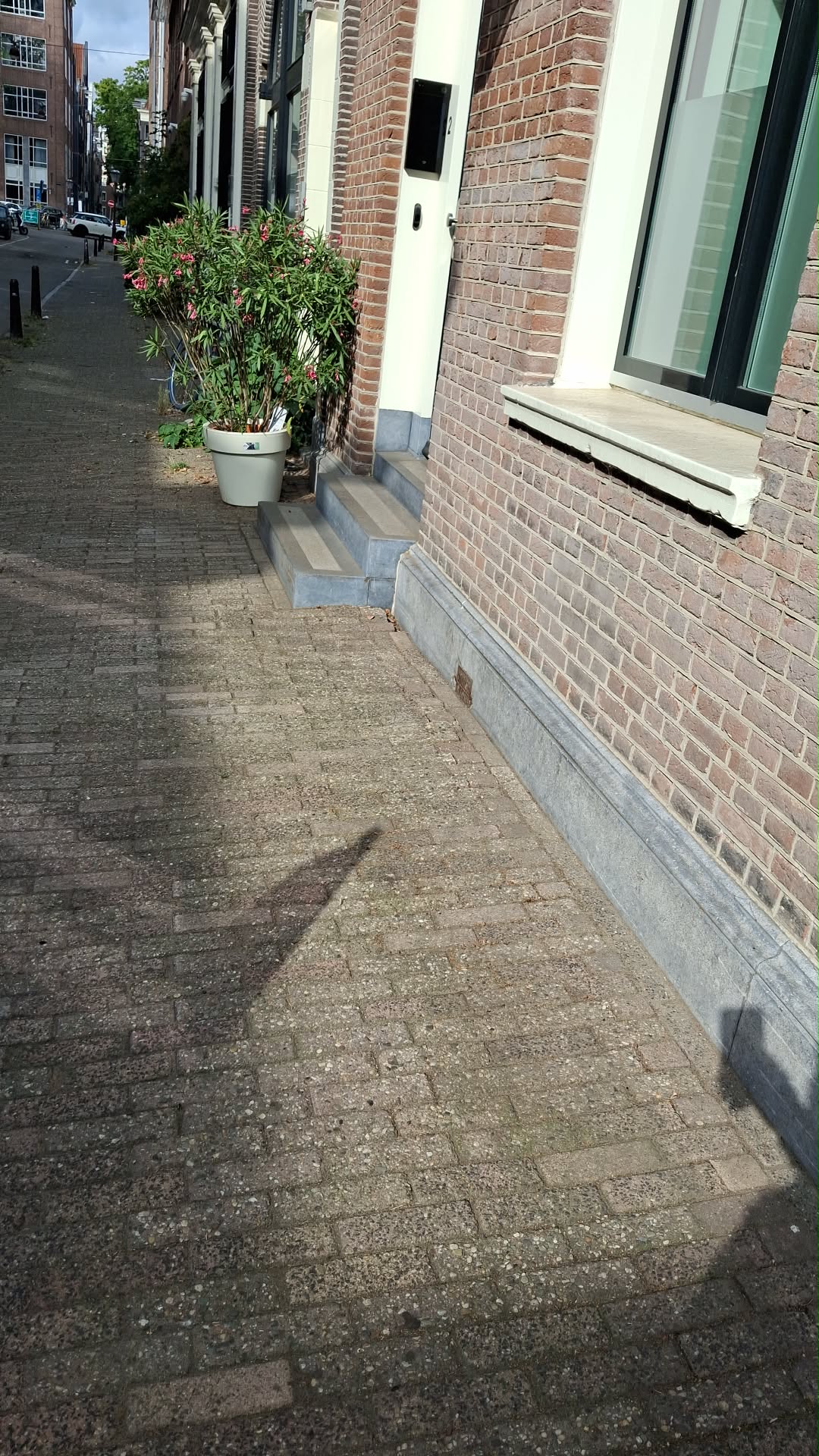 Cleaned pavement and facade plinth along a commercial building